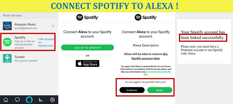Alexa play spotify